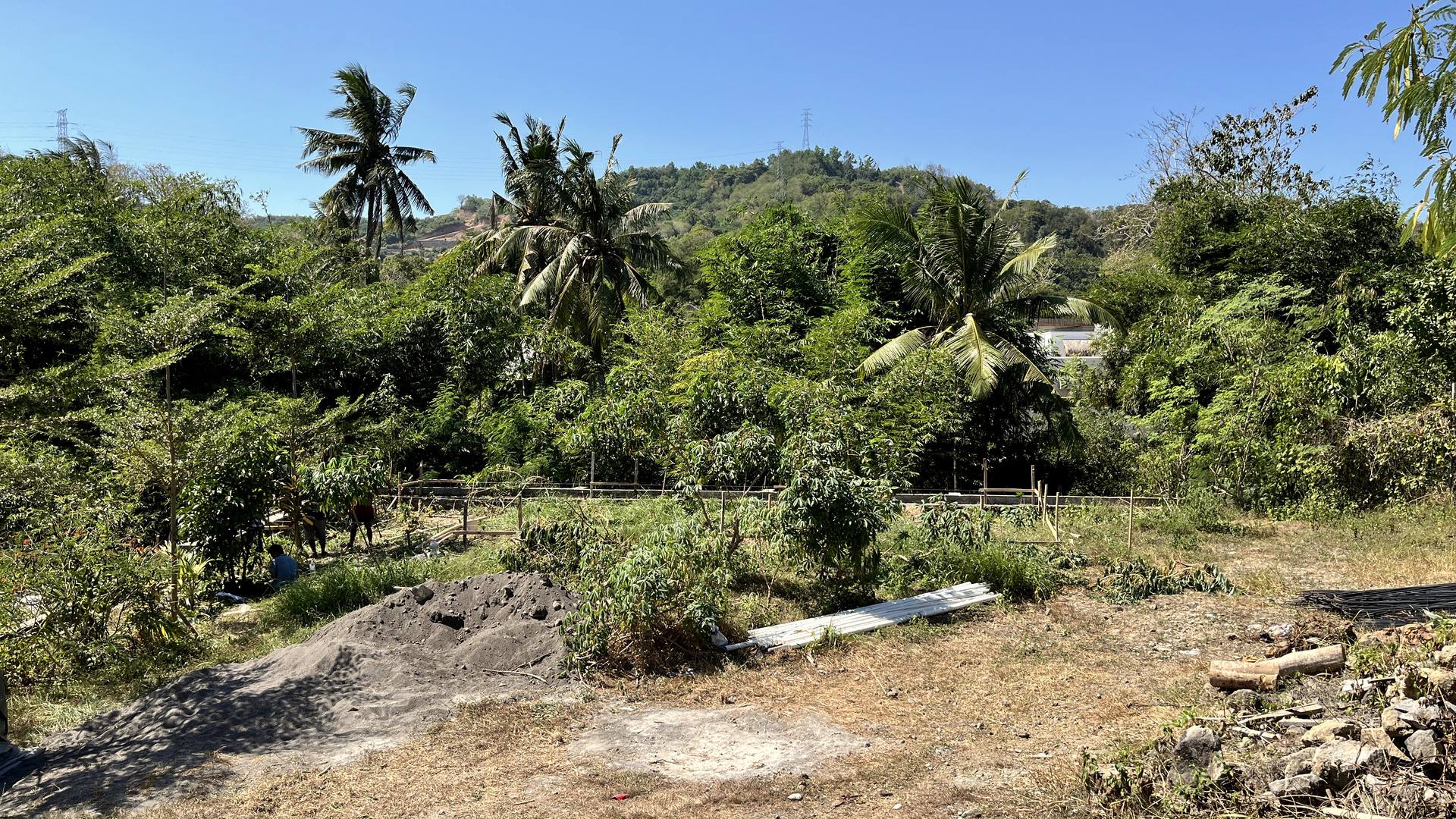 Initial site layout
